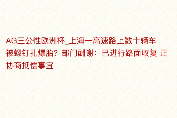 AG三公性欧洲杯_上海一高速路上数十辆车被螺钉扎爆胎？部门酬谢：已进行路面收复 正协商抵偿事宜