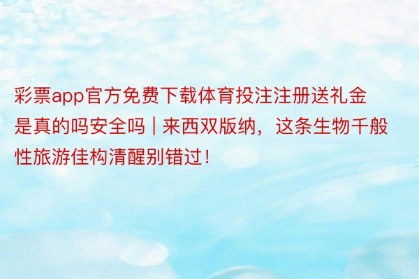 彩票app官方免费下载体育投注注册送礼金是真的吗安全吗 | 来西双版纳，这条生物千般性旅游佳构清醒别错过！