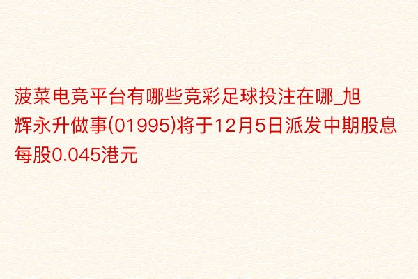 菠菜电竞平台有哪些竞彩足球投注在哪_旭辉永升做事(01995)将于12月5日派发中期股息每股0.045港元